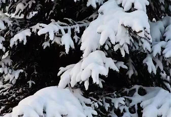 长白山仙峰雪岭景区第 74 张图片