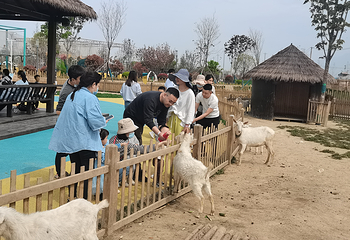 原乡农场第 39 张图片