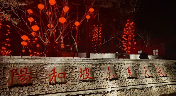 阳和坡知青大院