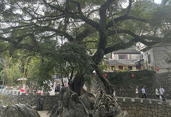 黄姚古镇第 84 张图片