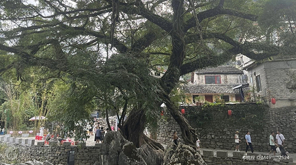 仙人古井第 3 张图片
