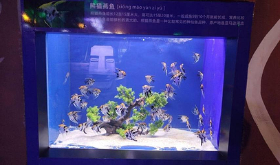 漯河海洋馆第 1 张图片