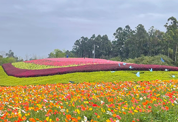 天府芙蓉园第 17 张图片
