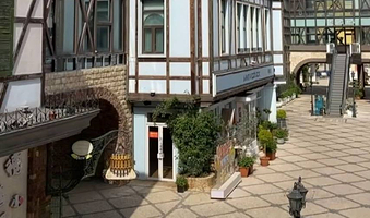 平湖国际游购小镇