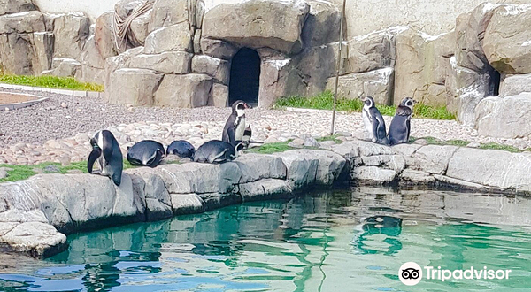 波塔费里水族馆