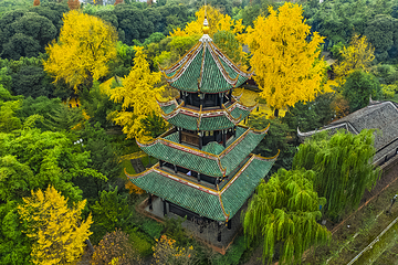 望江楼公园第 3 张图片