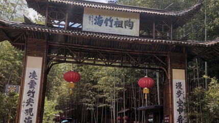 陶祖竹海第 1 张图片