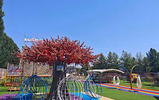 姜嫄水乡无动力亲子乐园