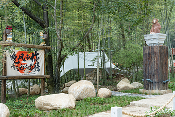 东黄山·石门秘境第 17 张图片