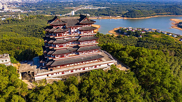 儋阳楼森林公园