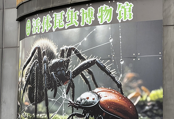 深圳活体昆虫博物馆第 6 张图片
