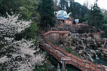 蒙顶山第 51 张图片