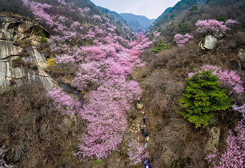 终南山第 14 张图片