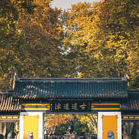 逍遥津公园