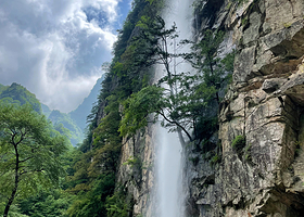 青峰峡森林公园