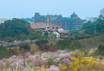 松山湖生态景区第 12 张图片