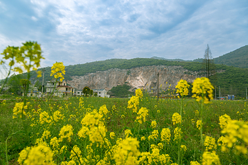 仙岛湖旅游度假区第 9 张图片
