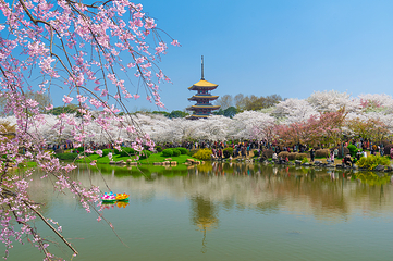 东湖生态旅游风景区第 10 张图片