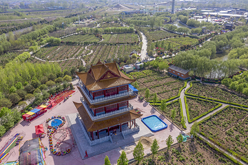 中国牡丹园第 1 张图片