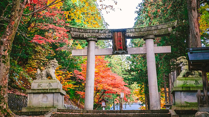 日枝神社第 1 张图片