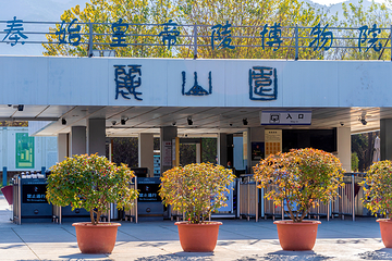 秦始皇帝陵博物院(兵马俑)第 659 张图片