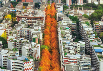 玉林西路第 5 张图片