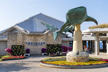 冲绳美丽海水族馆第 1 张图片