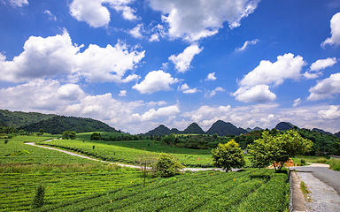 积庆里红茶谷第 7 张图片