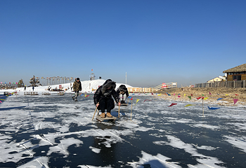 红海滩国家风景廊道第 185 张图片