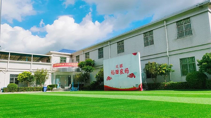 双晖稻田农场第 1 张图片