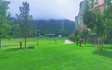 亚布力阳光度假村第 135 张图片