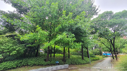 99广中绿地第 1 张图片