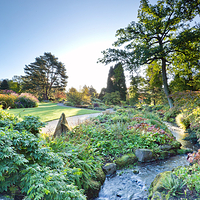RHS Garden Harlow Carr