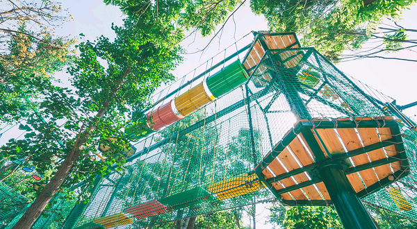 南京森林大世界亲子主题乐园