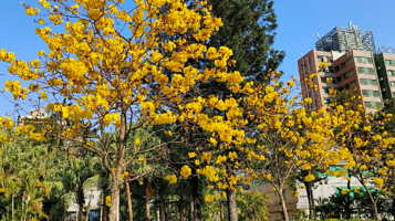 石湖墟赛马会游乐场