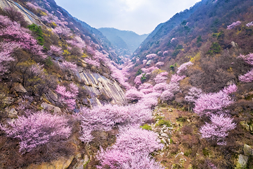终南山第 5 张图片