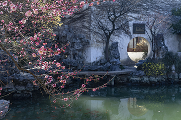 艺圃第 18 张图片