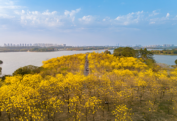 松山湖生态景区第 9 张图片