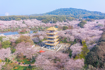 东湖生态旅游风景区第 3 张图片