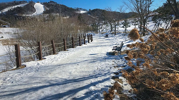 韩国阿尔卑斯滑雪场