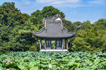 花港观鱼第 7 张图片
