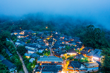 景迈山茶林文化景区第 34 张图片