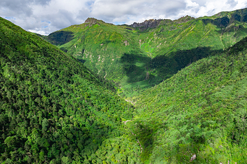 高黎贡山第 51 张图片