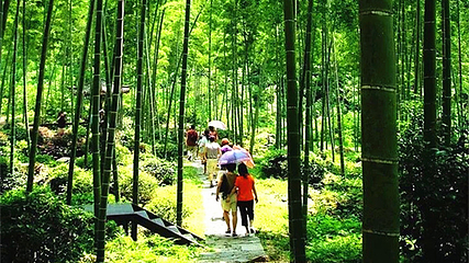 漓江源大峡谷第 47 张图片