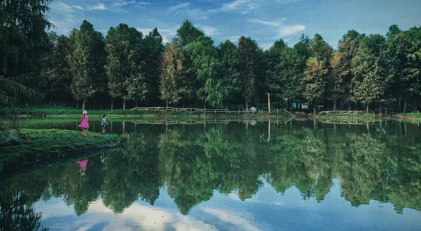 橙蓝国际森林营地