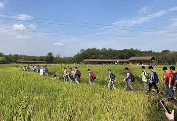 岳秀庄村特色旅游景区第 17 张图片