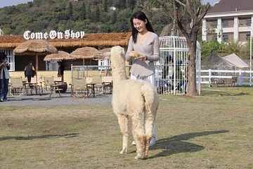 come on farm第 7 张图片