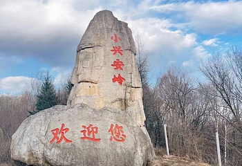 小兴安岭第 15 张图片