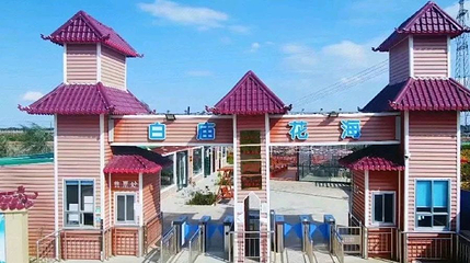 白庙花海第 1 张图片