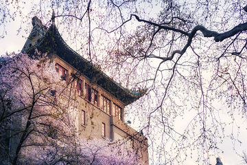 武汉大学第 40 张图片